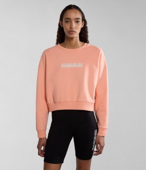 Napapijri Box Sweatshirt Ženske Dukserice Roze | ZICK-76921