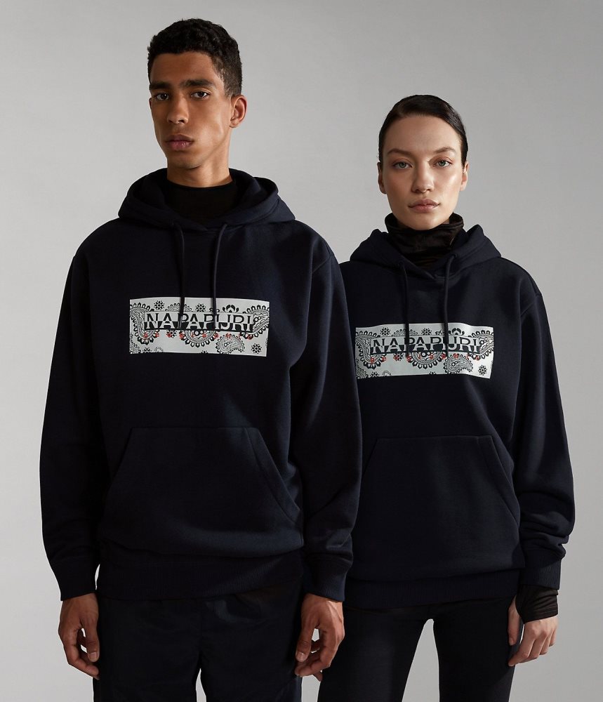 Napapijri Andesite Hoodie Ženske Majica s Kapuljačom Crne | NHUD-35814