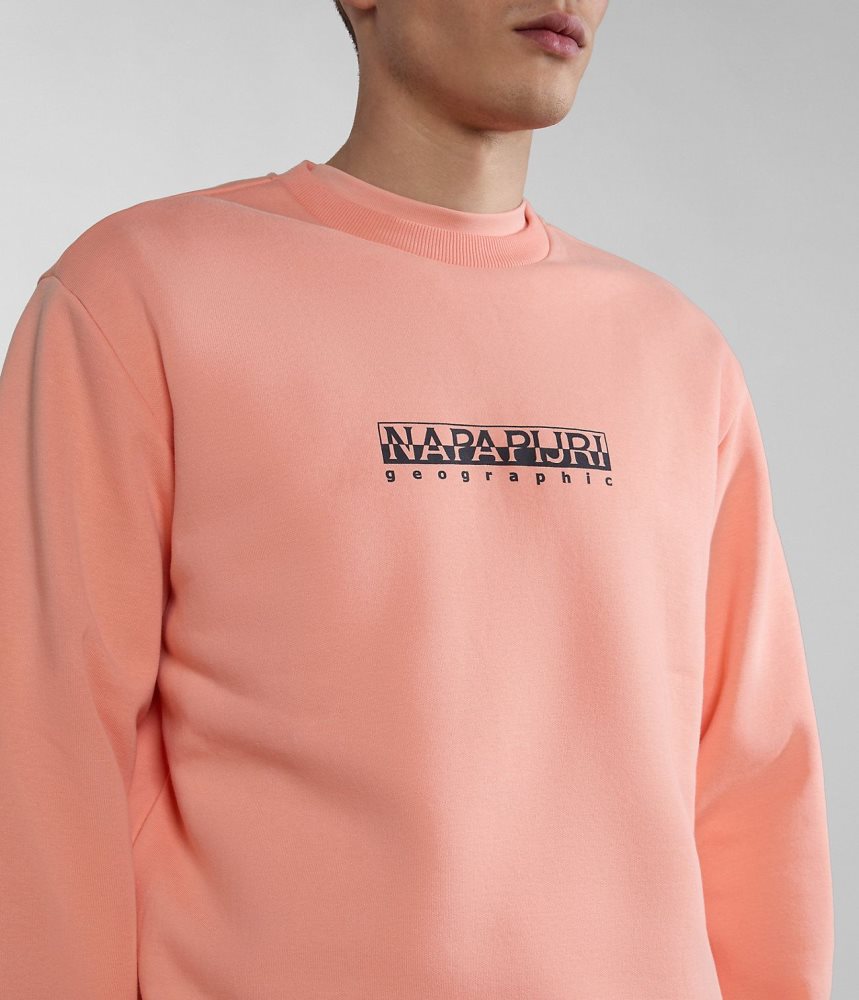 Napapijri Box Sweatshirt Muške Dukserice Roze | LGTV-21578