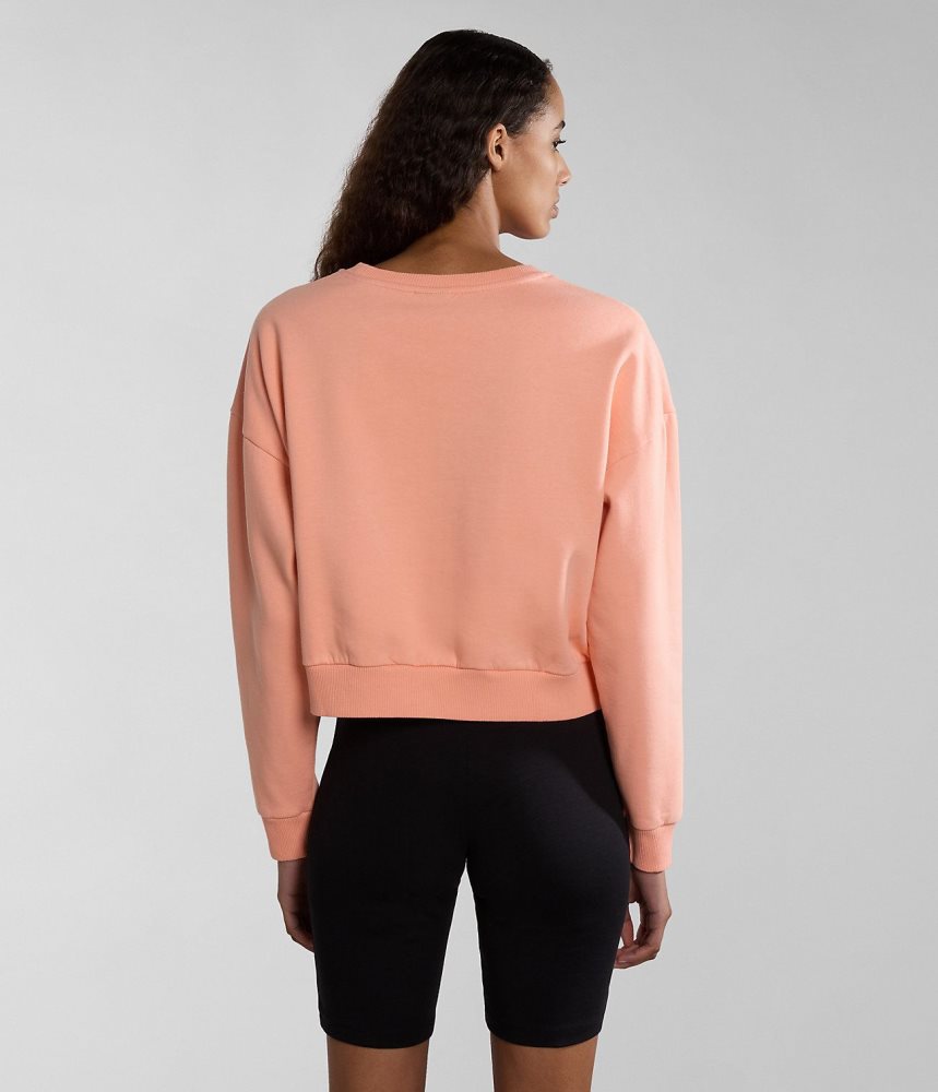 Napapijri Box Sweatshirt Ženske Dukserice Roze | ZICK-76921