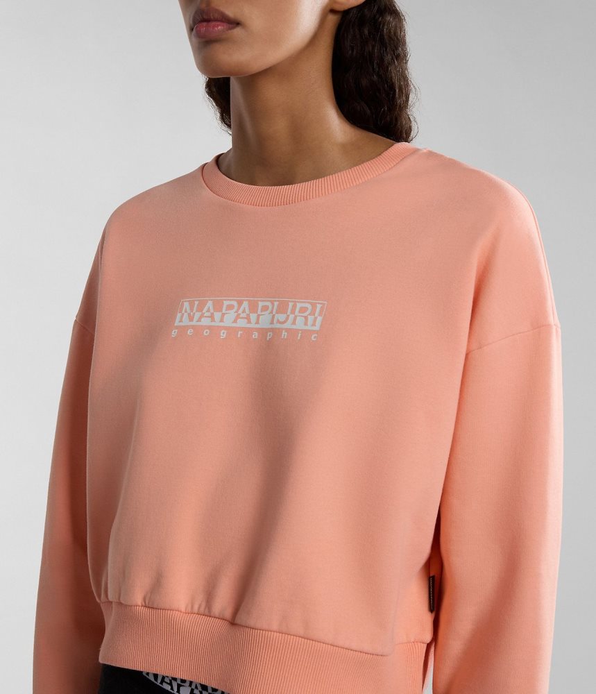 Napapijri Box Sweatshirt Ženske Dukserice Roze | ZICK-76921