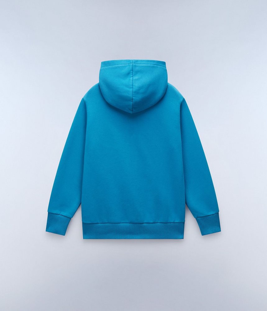 Napapijri Chamois Full-Zip Hoodie (4-16 YEARS) Dječje Majica s Kapuljačom Plave | AHSL-79530