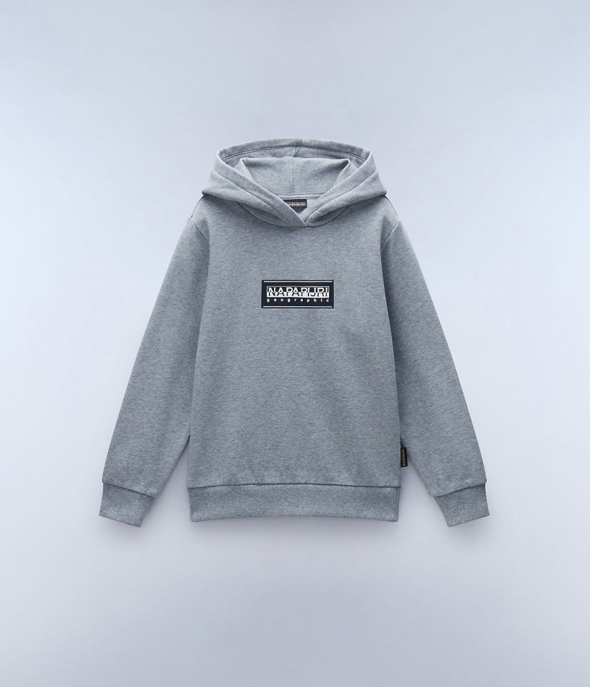 Napapijri Chamois Hoodie (4-16 YEARS) Dječje Majica s Kapuljačom Sive | BEGA-82094