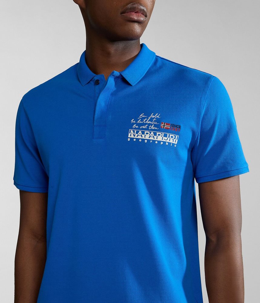 Napapijri Colville Short Sleeve Polo Shirt Muške Polo Majice Plave | GCOL-78460