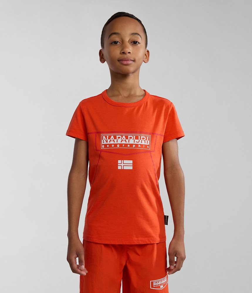 Napapijri Cree Short Sleeve T-Shirt (4-16 YEARS) Dječje Majice Narančaste | LVEJ-73024