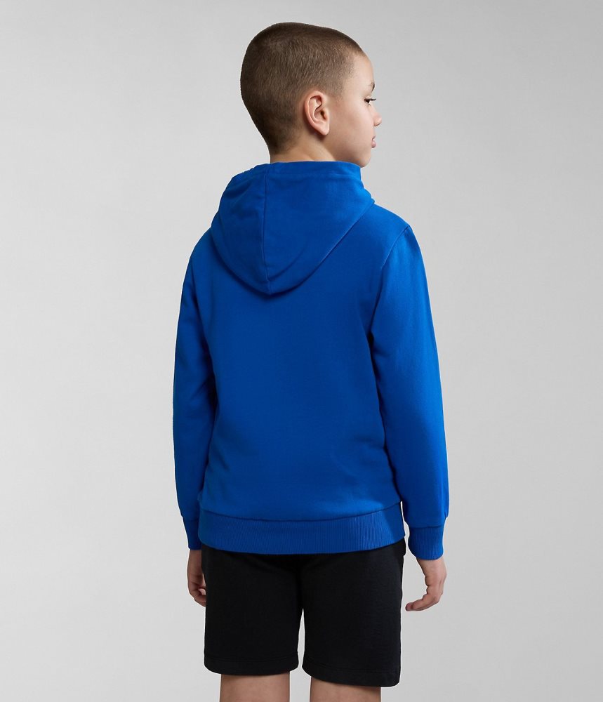 Napapijri Kitik Hoodie (4-16 YEARS) Dječje Majica s Kapuljačom Plave | FWYH-04918