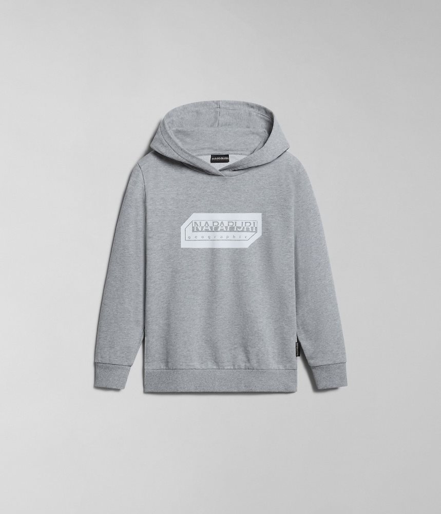 Napapijri Kitik Hoodie (4-16 YEARS) Dječje Majica s Kapuljačom Sive | EKCP-29846