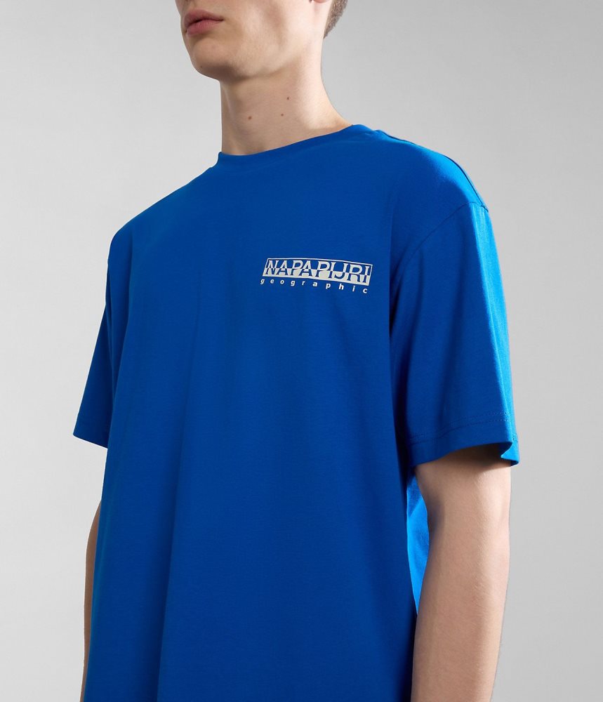 Napapijri Kotcho Short Sleeve T-Shirt Ženske Majice Plave | BMRP-04518