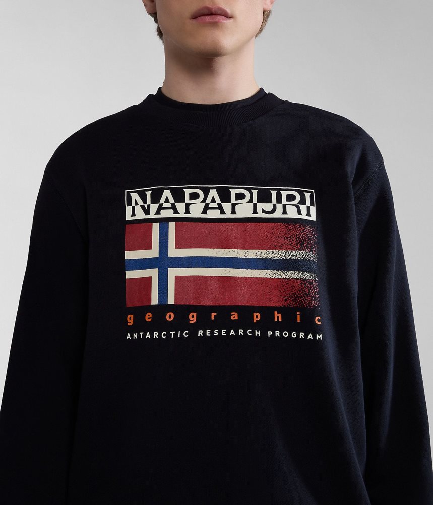 Napapijri Kreis Sweatshirt Muške Dukserice Crne | NWEF-02317