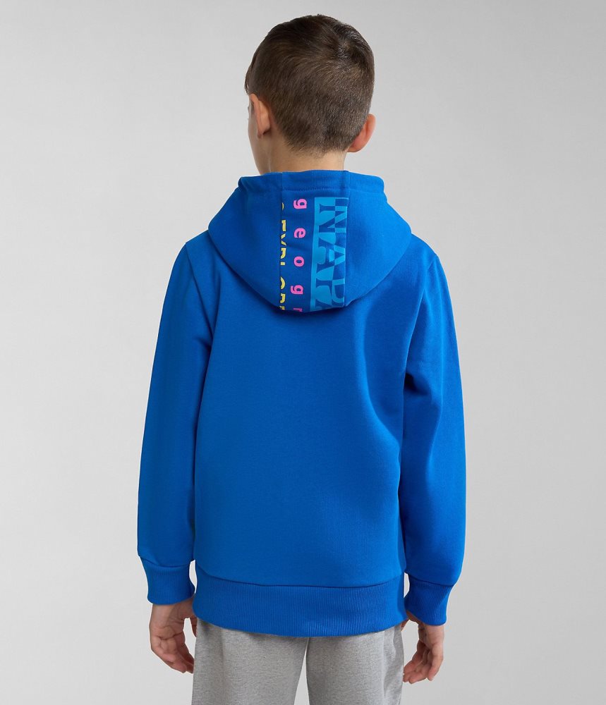 Napapijri Liard Hoodie (4-16 YEARS) Dječje Majica s Kapuljačom Plave | ADWH-01562