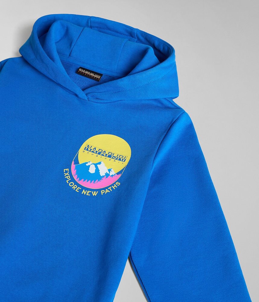 Napapijri Liard Hoodie (4-16 YEARS) Dječje Majica s Kapuljačom Plave | ADWH-01562