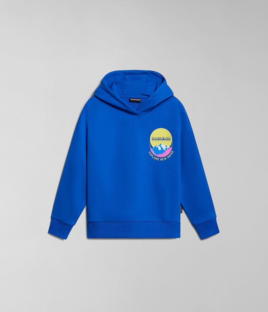 Napapijri Liard Hoodie (4-16 YEARS) Dječje Majica s Kapuljačom Plave | ADWH-01562