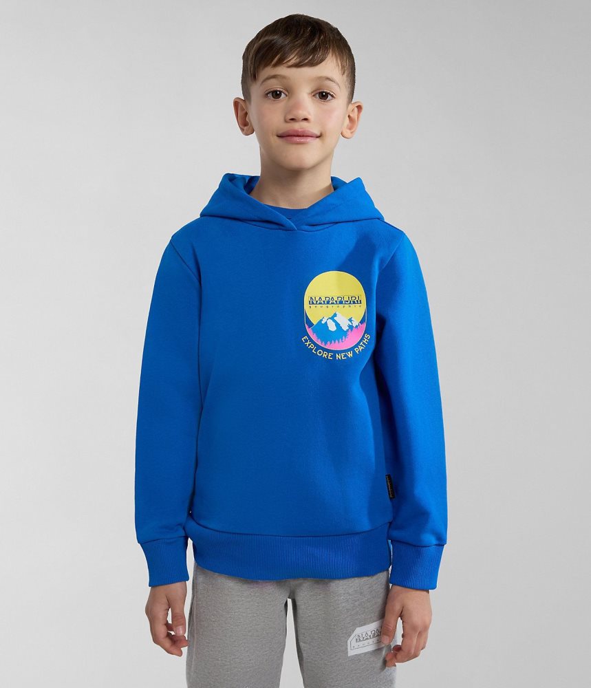 Napapijri Liard Hoodie (4-16 YEARS) Dječje Majica s Kapuljačom Plave | ADWH-01562