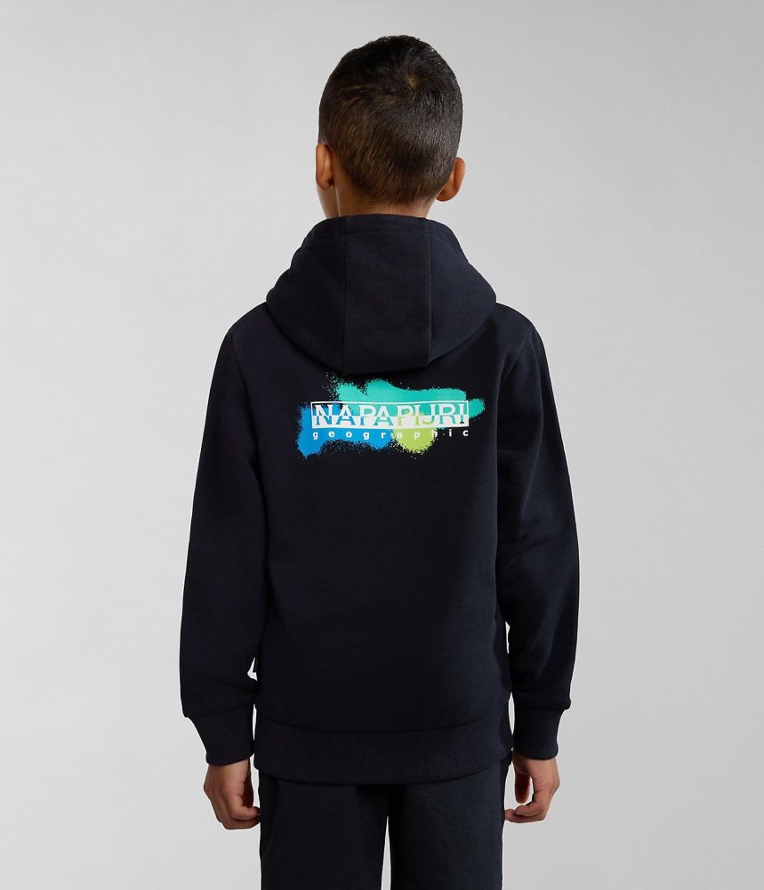 Napapijri Liard Hoodie (4-16 YEARS) Dječje Majica s Kapuljačom Crne | WMCL-16574