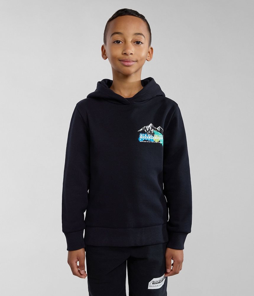 Napapijri Liard Hoodie (4-16 YEARS) Dječje Majica s Kapuljačom Crne | WMCL-16574