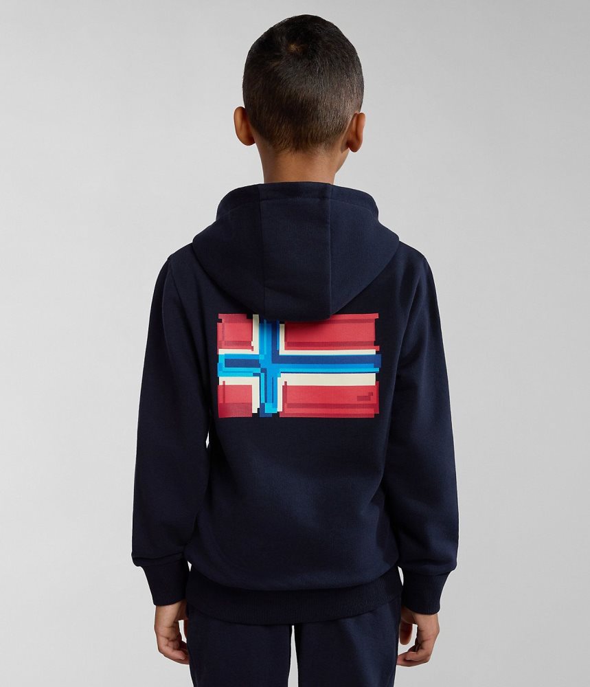 Napapijri Liard Hoodie (4-16 YEARS) Dječje Majica s Kapuljačom Tamno Plave | OXLB-90584