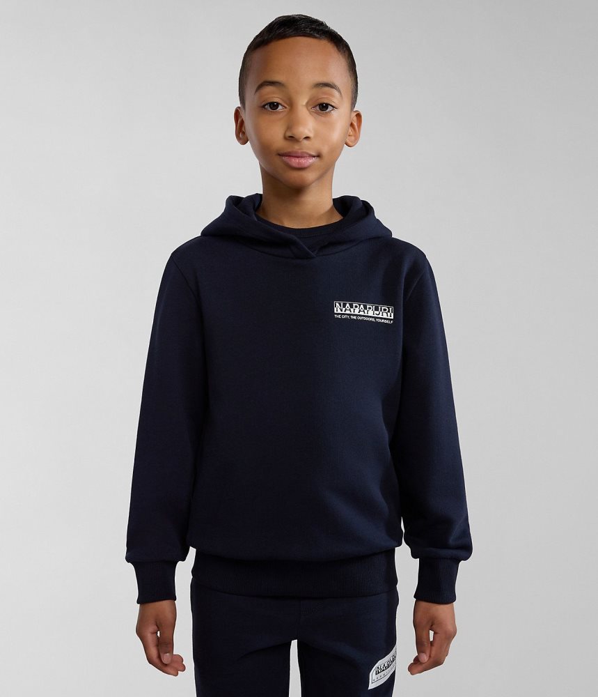 Napapijri Liard Hoodie (4-16 YEARS) Dječje Majica s Kapuljačom Tamno Plave | OXLB-90584