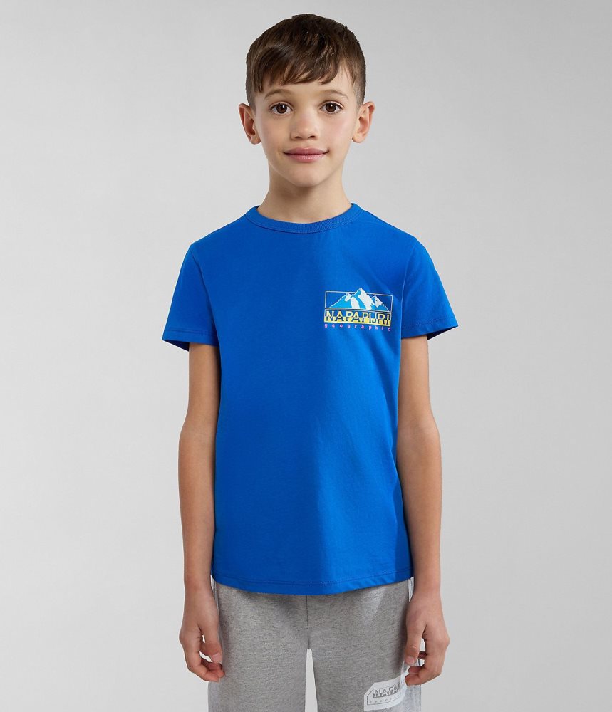 Napapijri Liard Short Sleeve T-Shirt (4-16 YEARS) Dječje Majice Plave | DSHJ-56302